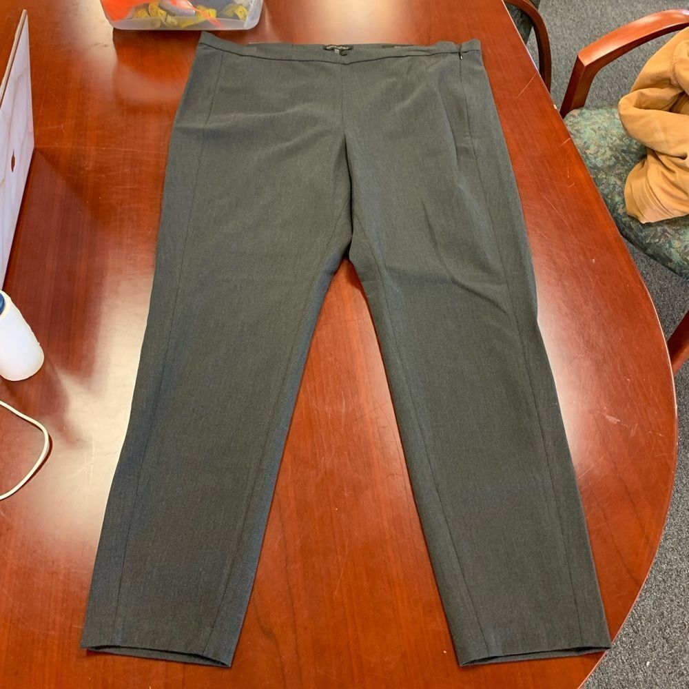 Banana Republic Gray Devon Pants  20L NWT